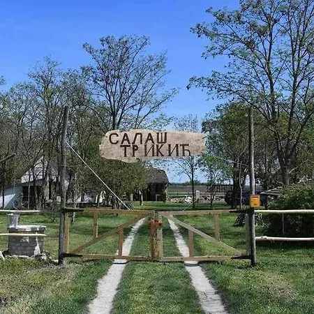 Salas Trikic * Aleksandrovo