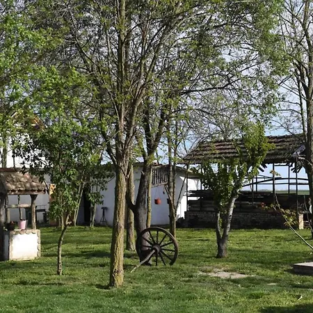 Salas Trikic بيت للعطل