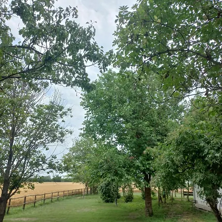 Salas Trikic بيت للعطل Aleksandrovo