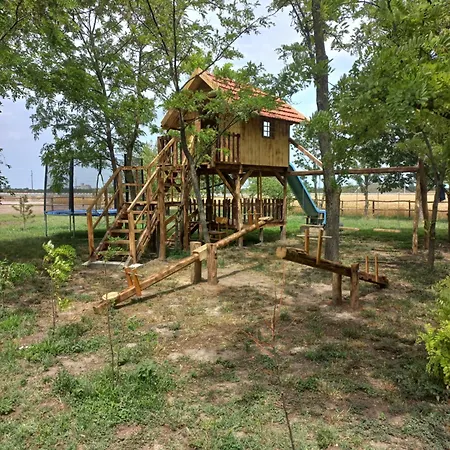 Salas Trikic * Aleksandrovo